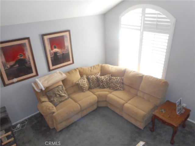 living room featuring dark colored carpet