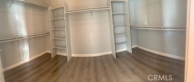 spacious closet featuring dark wood-type flooring