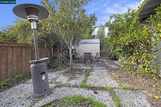 view of yard featuring a storage shed