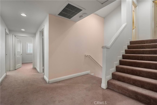 staircase featuring carpet