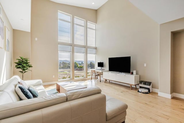 living room with a towering ceiling and light hardwood / wood-style flooring