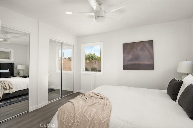 bedroom featuring ceiling fan, multiple closets, and dark hardwood / wood-style flooring