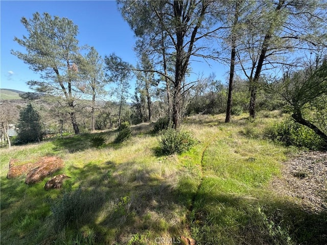 3522 Filmore Ave, Clearlake CA, 95422 land for sale