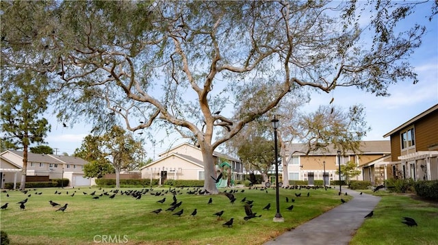 view of property's community featuring a lawn