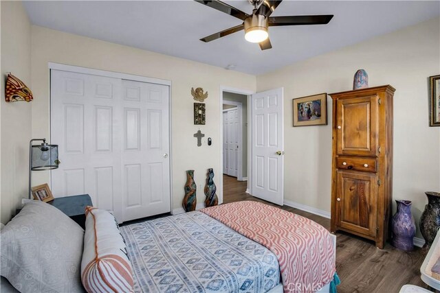 bedroom featuring ceiling fan, dark wood-type flooring, and a closet