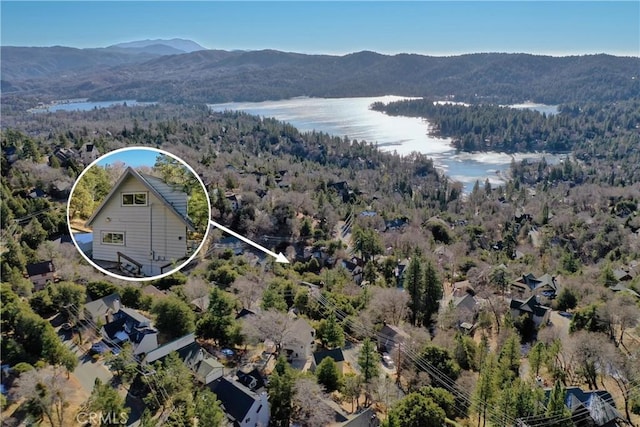 bird's eye view with a view of trees and a water and mountain view