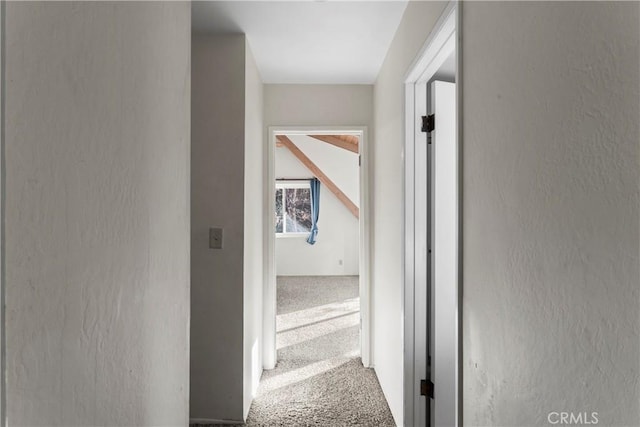 hallway featuring a textured wall and carpet floors