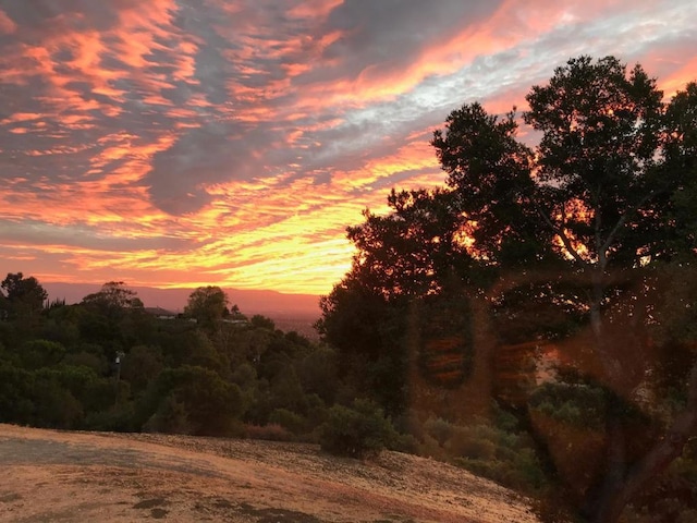 view of nature at dusk