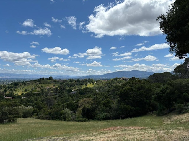 view of mountain feature