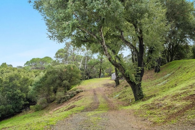 view of road