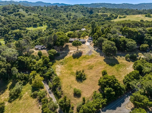 birds eye view of property featuring a mountain view