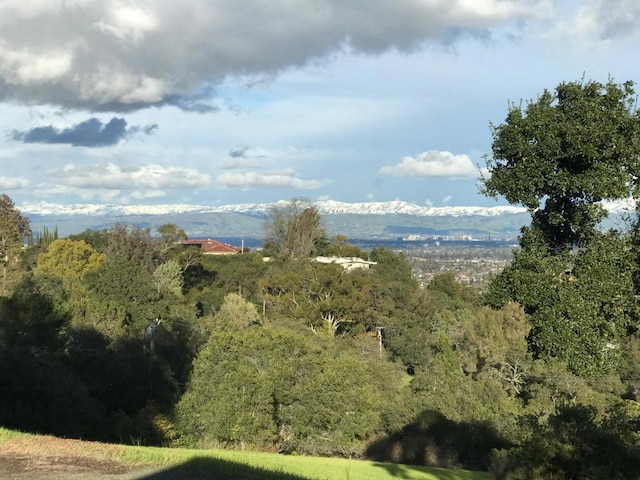 view of local wilderness with a mountain view