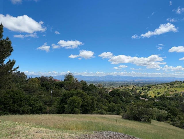 view of landscape featuring a mountain view