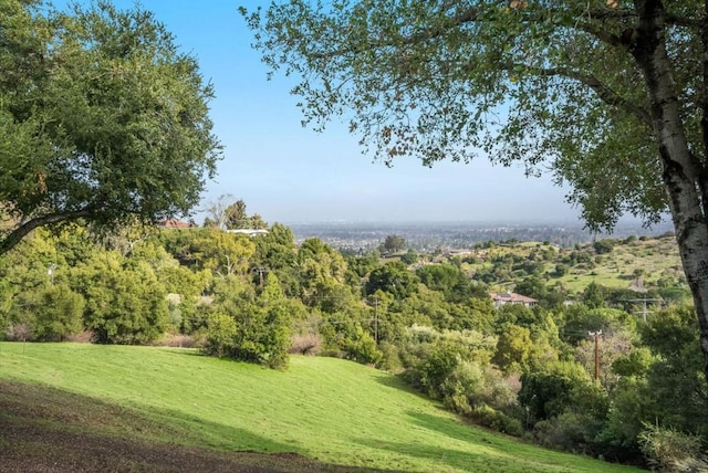 view of landscape