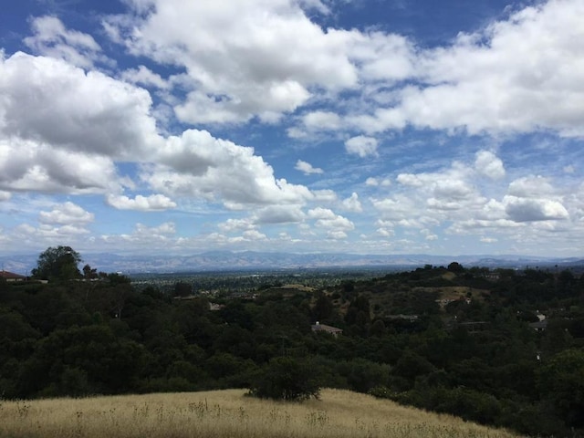 view of local wilderness