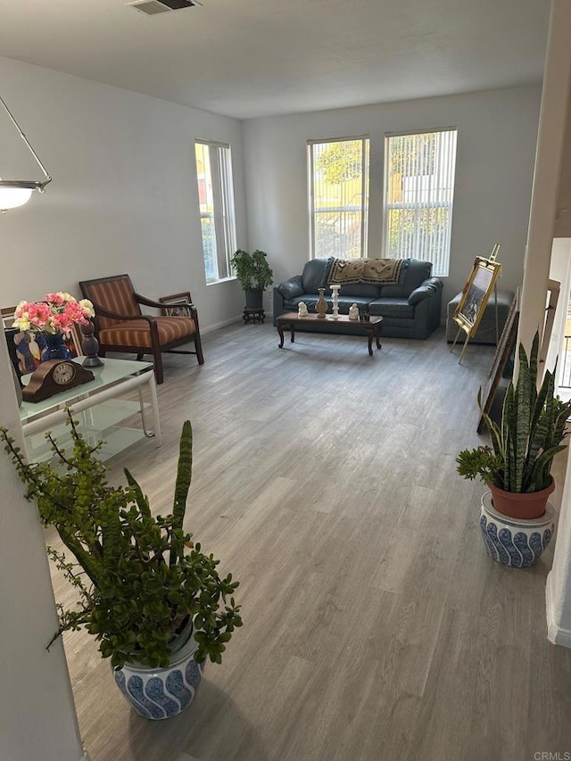 living room featuring wood-type flooring