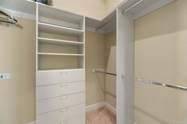 walk in closet with carpet flooring