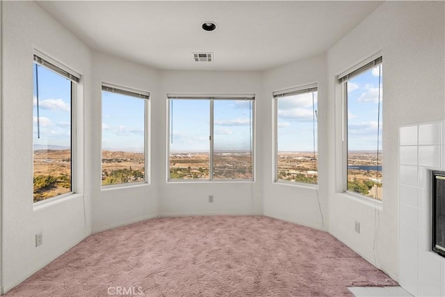 unfurnished sunroom featuring a healthy amount of sunlight