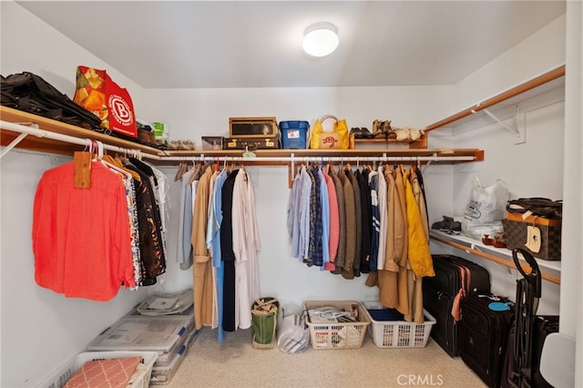 spacious closet featuring carpet floors