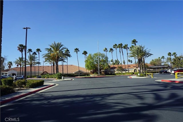 view of road featuring curbs and street lighting