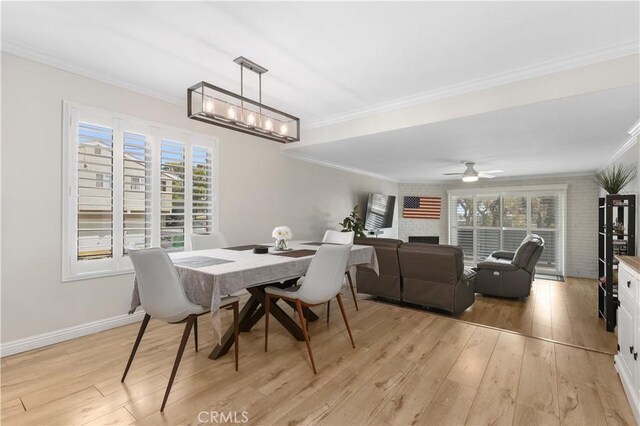 dining room with ceiling fan, light wood-type flooring, and crown molding