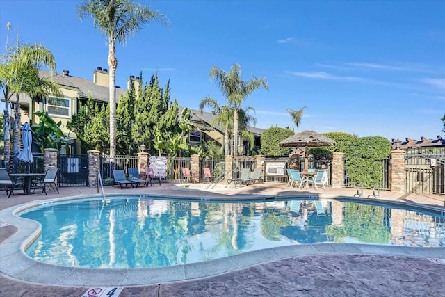 view of swimming pool with a patio area