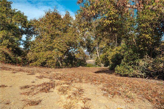 48 Pauma Ridge Rd, Valley Center, CA 92082