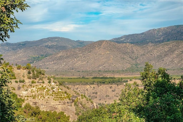48 Pauma Ridge Rd, Valley Center, CA 92082
