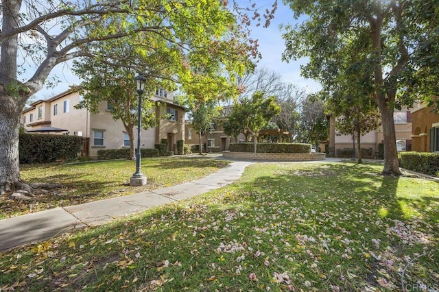 view of home's community with a lawn