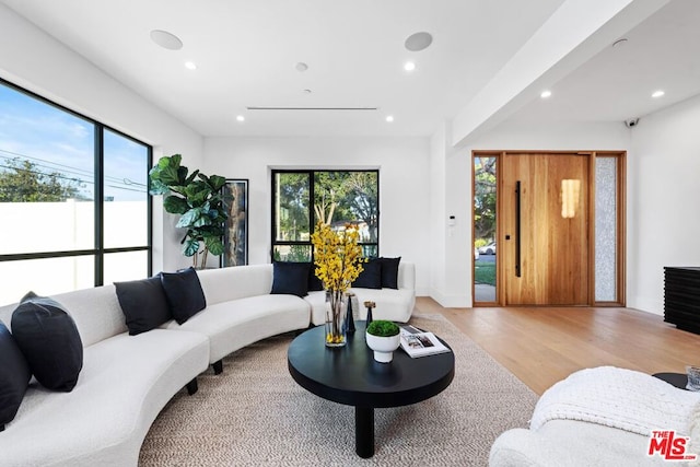 living room featuring wood-type flooring