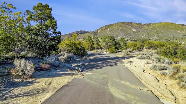 55569 Sunny Cir, Anza, CA 92539 - photo 26