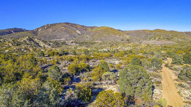 55569 Sunny Cir, Anza, CA 92539 - photo 18