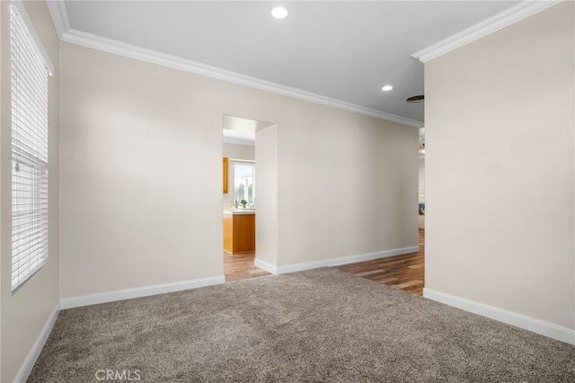 unfurnished room featuring carpet floors and ornamental molding