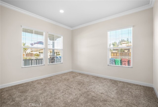 spare room with a wealth of natural light, carpet, and crown molding