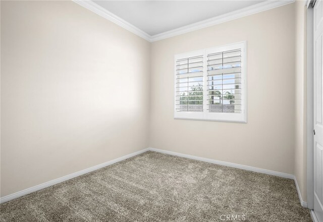 carpeted spare room with ornamental molding