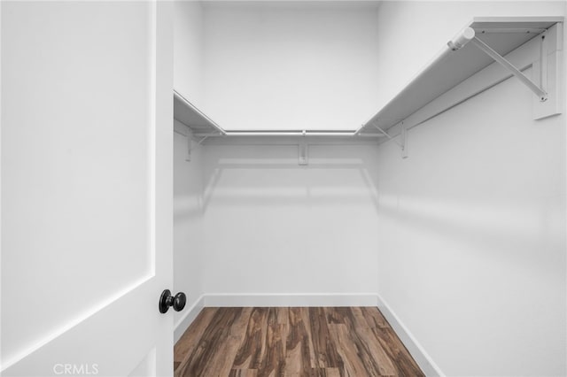 spacious closet featuring hardwood / wood-style floors