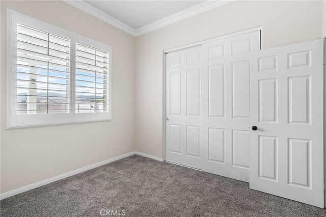 unfurnished bedroom with a closet, carpet flooring, and ornamental molding