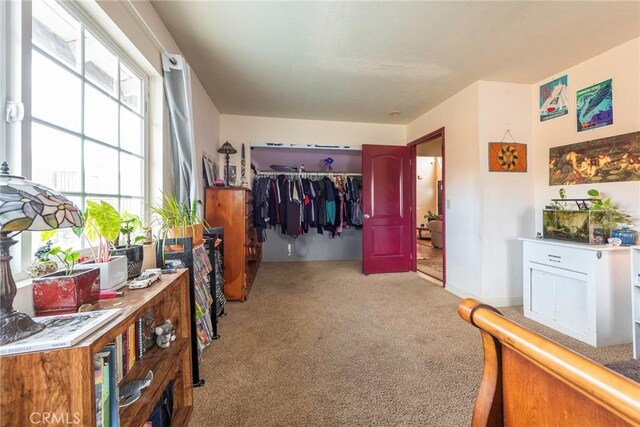 carpeted bedroom featuring a closet and multiple windows