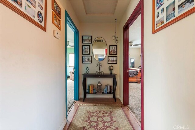 hall featuring light colored carpet