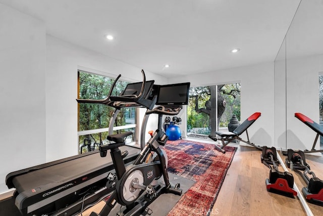 exercise room with hardwood / wood-style flooring