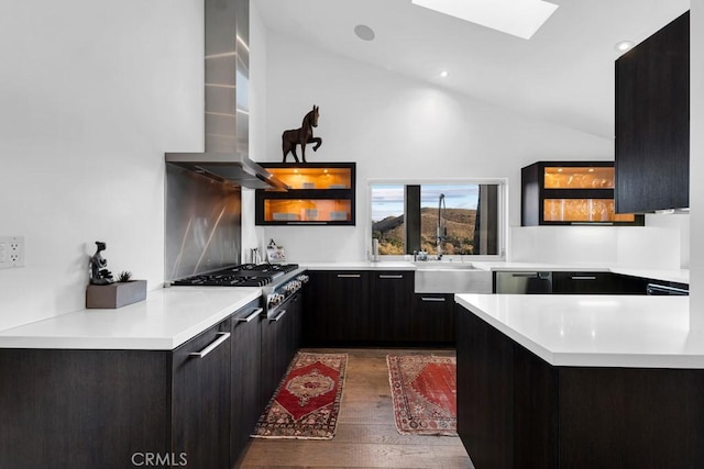 kitchen with lofted ceiling with skylight, dark hardwood / wood-style floors, sink, stainless steel appliances, and wall chimney exhaust hood