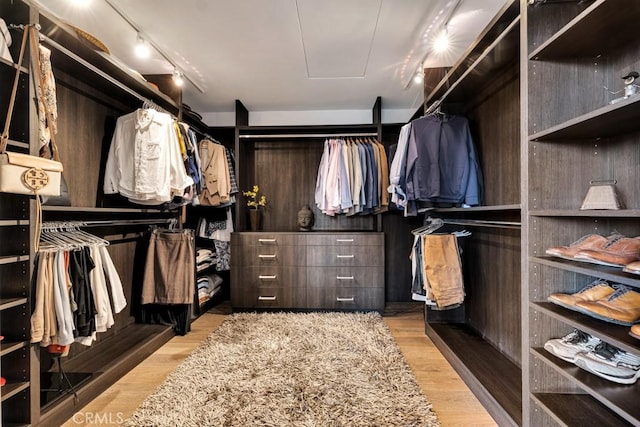 spacious closet with light wood-type flooring