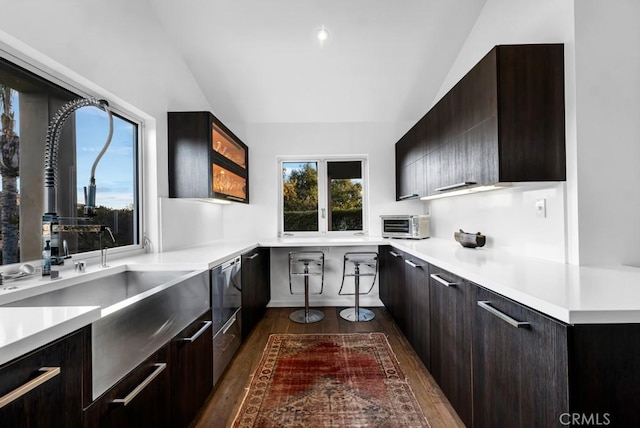 kitchen with lofted ceiling, dark hardwood / wood-style flooring, a healthy amount of sunlight, and dark brown cabinets