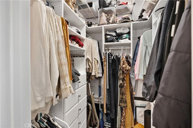 view of spacious closet