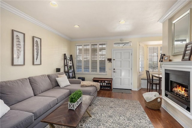 living room with ornamental molding and dark wood-type flooring