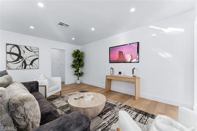 living room featuring wood-type flooring