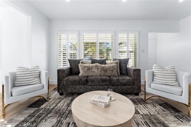 living room with hardwood / wood-style flooring