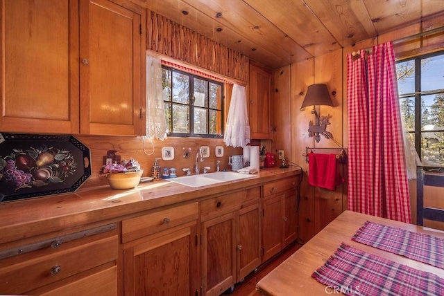 kitchen featuring a wealth of natural light, wood ceiling, wood walls, and sink