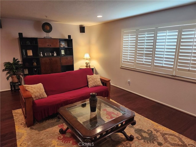 living room with dark wood-type flooring