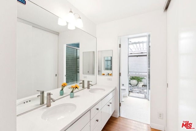 bathroom featuring toilet, vanity, wood-type flooring, and a wealth of natural light